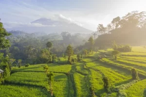 Mount Agung