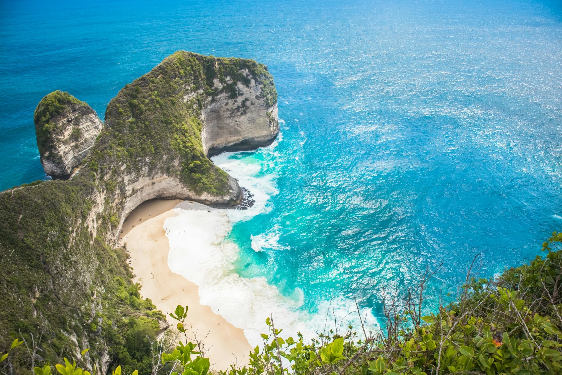 T-Rex Beach Bali