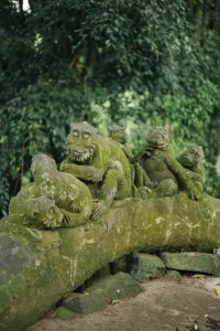 Ubud Monkey Forest