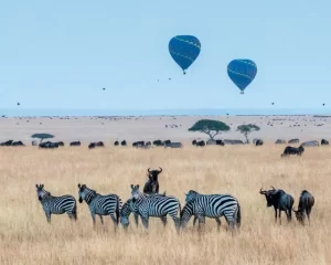 Maasai Mara National Reserve, Kenya