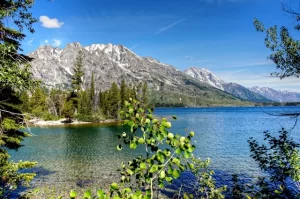 Yellowstone National Park, USA